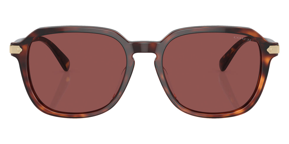 Coach HC8383U CL912 579875 55 - Dark Tortoise/Caramel Tortoise / Violet #id:hc8383u579875_s:106100