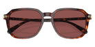 Coach HC8383U CL912 579875 55 - Dark Tortoise/Caramel Tortoise / Violet #id:hc8383u579875_s:106120