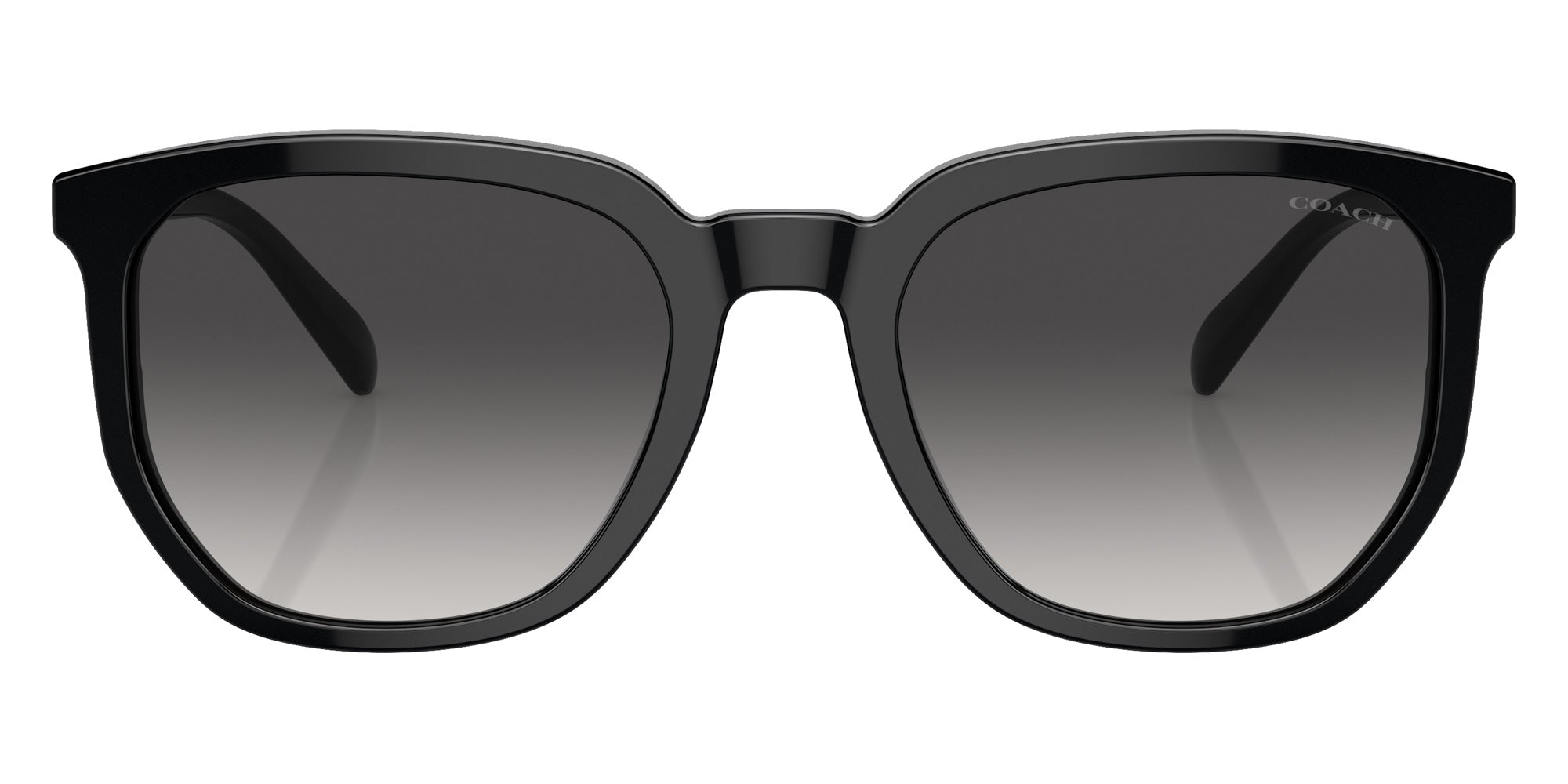 Coach HC8384U CL911 50028G 55 - Black / Gray Gradient #id:hc8384u50028g_s:100100