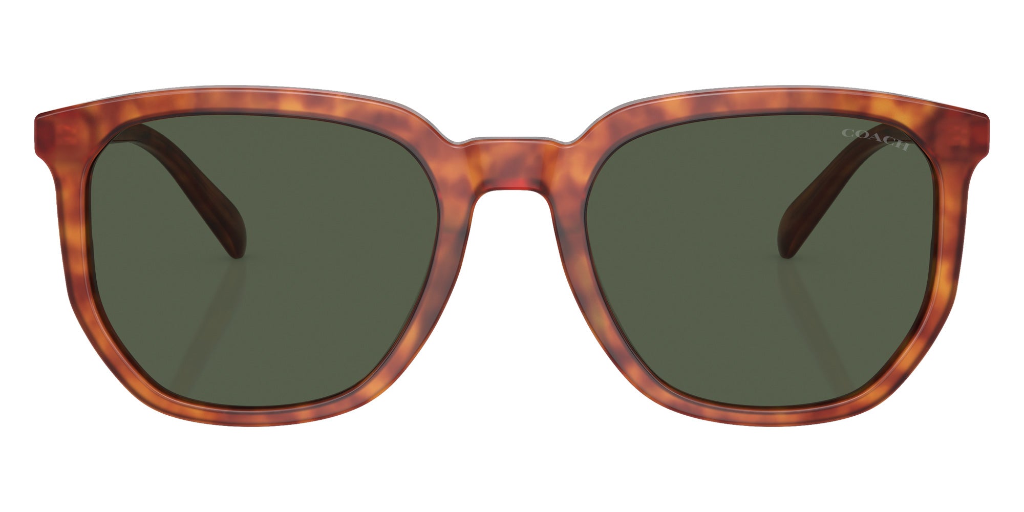 Coach HC8384U CL911 577482 55 - Caramel Tortoise / Green #id:hc8384u577482_s:102100