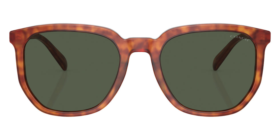 Coach HC8384U CL911 577482 55 - Caramel Tortoise / Green #id:hc8384u577482_s:102100
