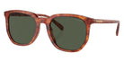 Coach HC8384U CL911 577482 55 - Caramel Tortoise / Green #id:hc8384u577482_s:102105