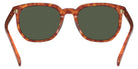 Coach HC8384U CL911 577482 55 - Caramel Tortoise / Green #id:hc8384u577482_s:102115