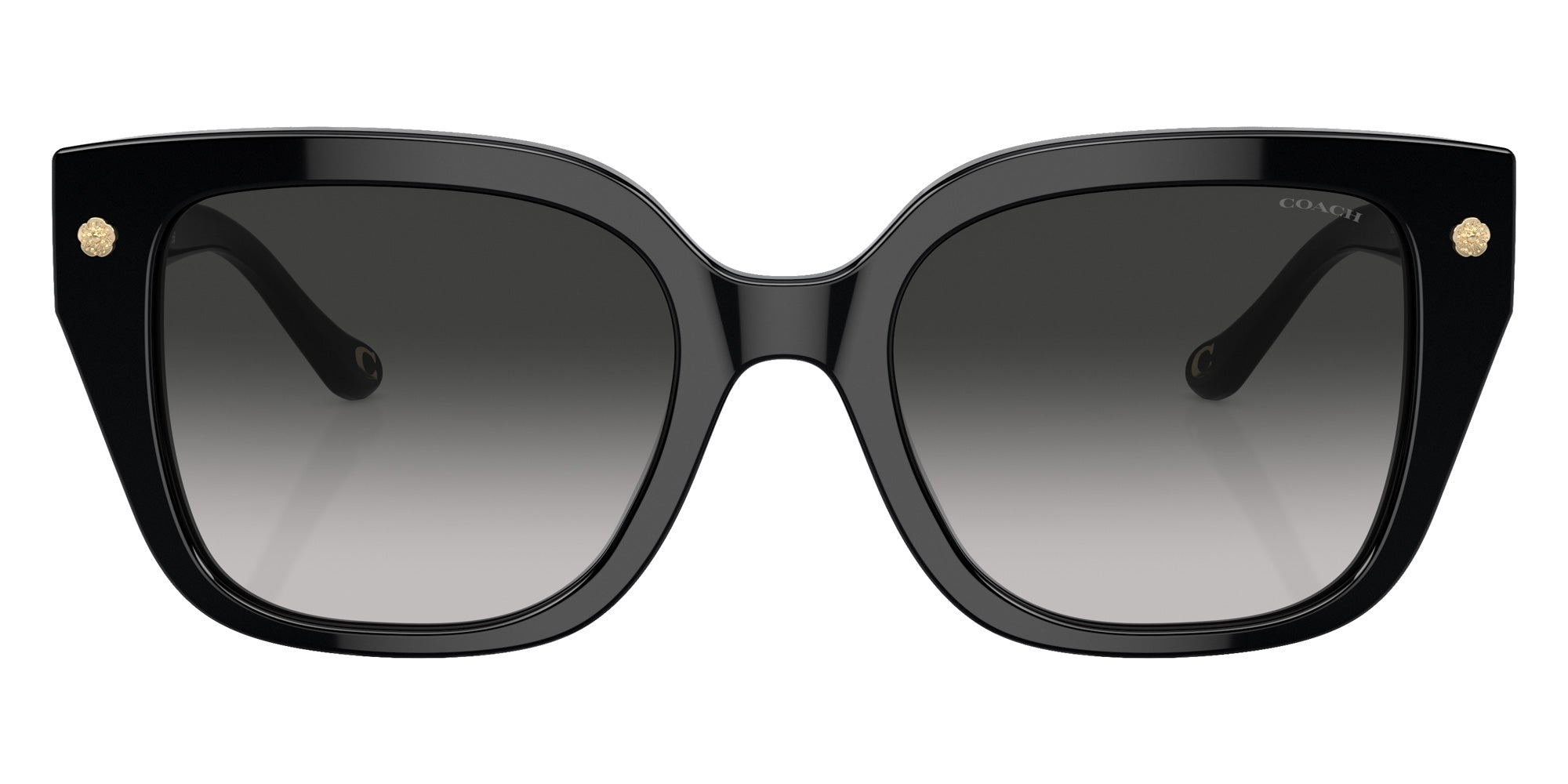 Coach HC8392U CR611 50023C 53 - Black / Gray Gradient #id:hc8392u50023c_s:100100