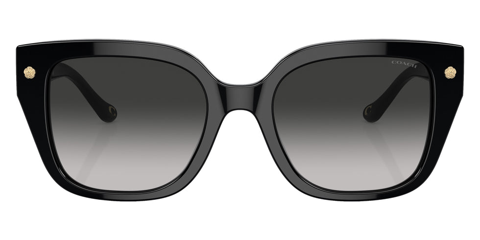 Coach HC8392U CR611 50023C 53 - Black / Gray Gradient #id:hc8392u50023c_s:100100