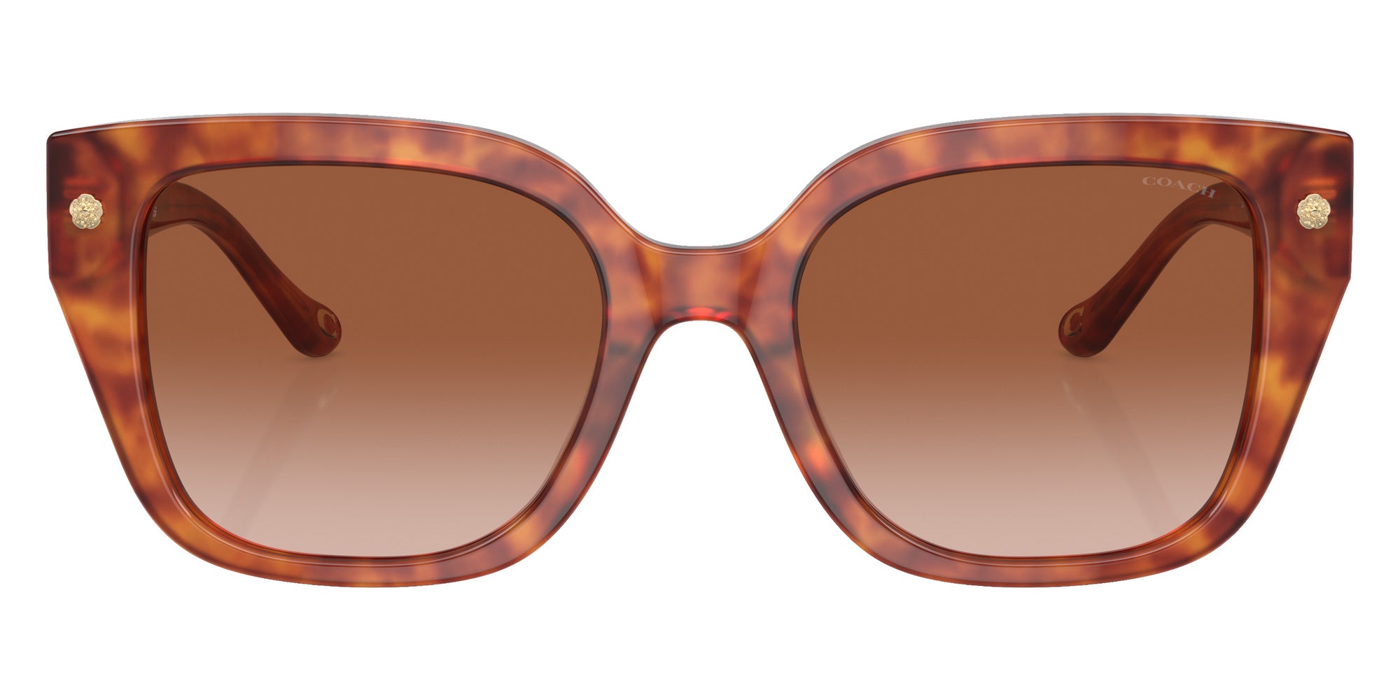Coach HC8392U CR611 577413 53 - Caramel Tortoise / Brown Gradient #id:hc8392u577413_s:104100
