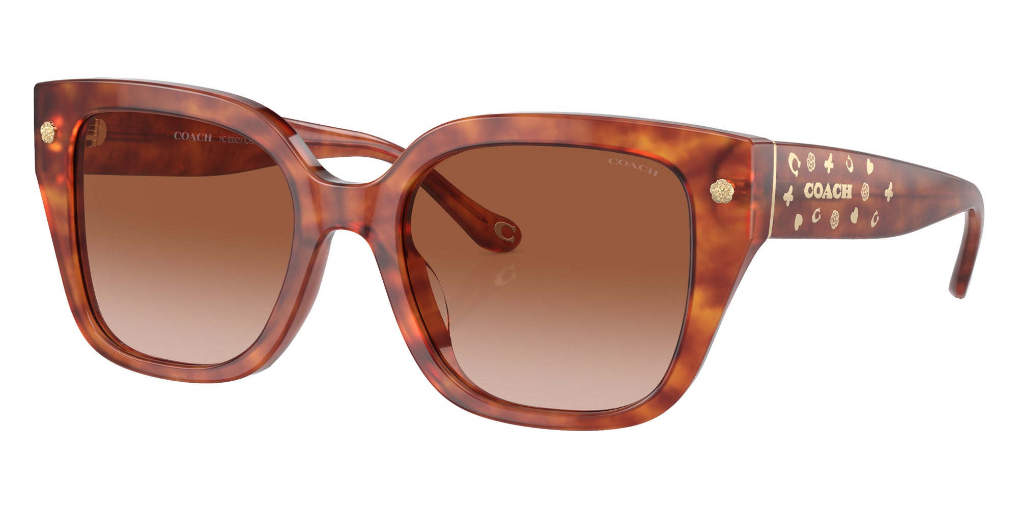 Coach HC8392U CR611 577413 53 - Caramel Tortoise / Brown Gradient #id:hc8392u577413_s:104105