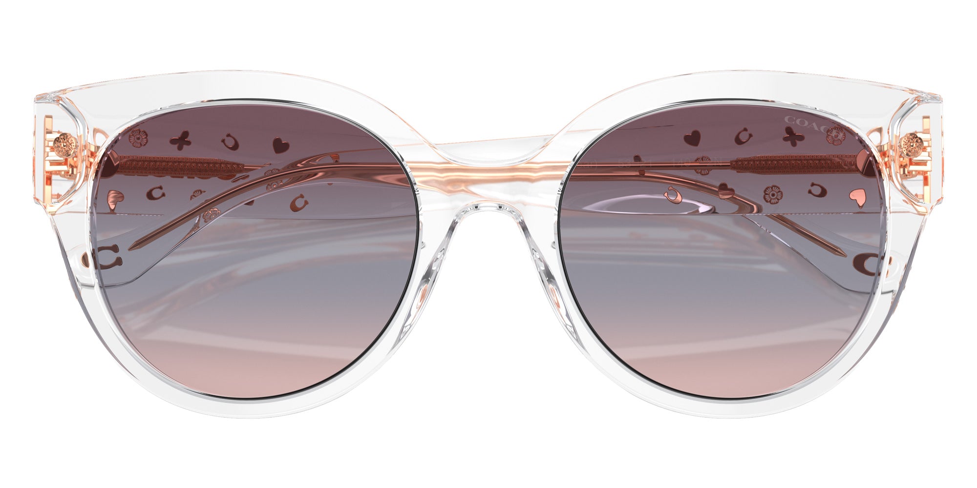 Coach HC8393U CR612 51110J 53 - Transparent Clear / Purple Blue Pink Gradient #id:hc8393u51110j_s:102120