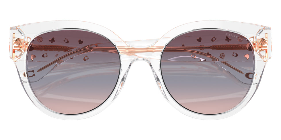 Coach HC8393U CR612 51110J 53 - Transparent Clear / Purple Blue Pink Gradient #id:hc8393u51110j_s:102120