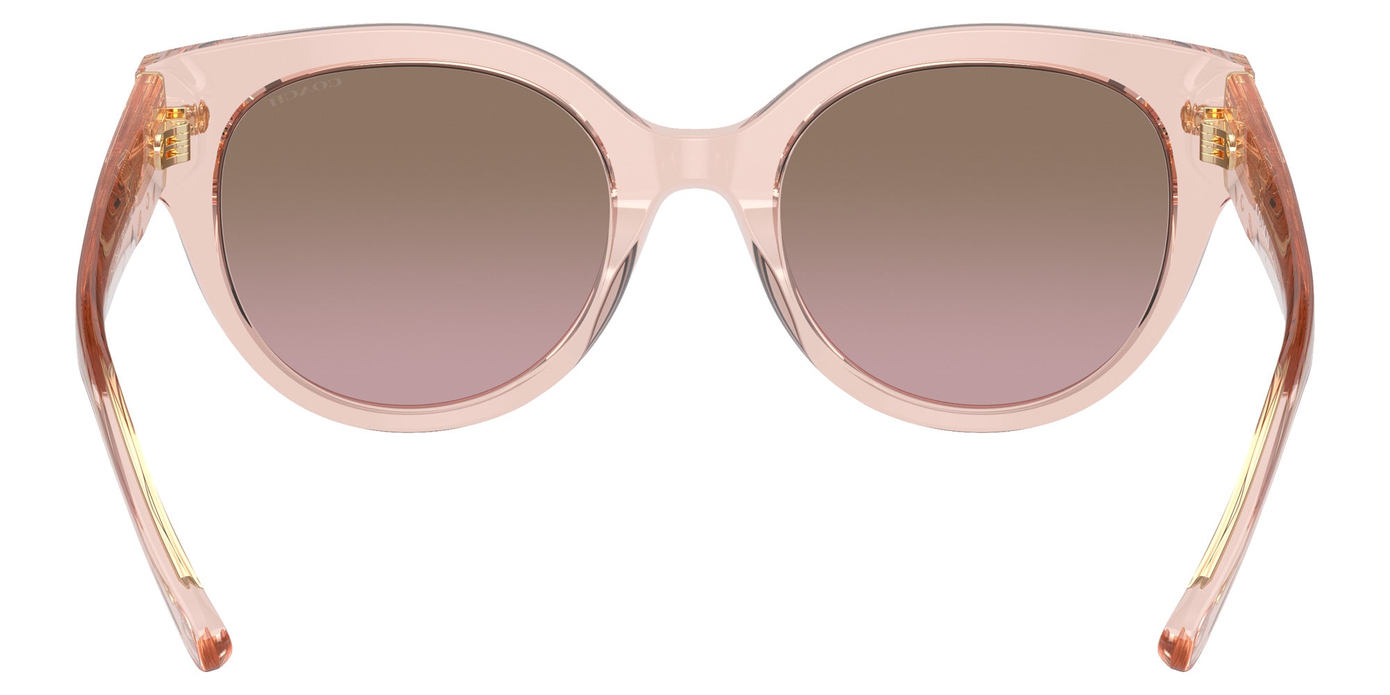 Coach HC8393U CR612 566814 53 - Transparent Dusty Rose / Brown Pink Gradient #id:hc8393u566814_s:104115