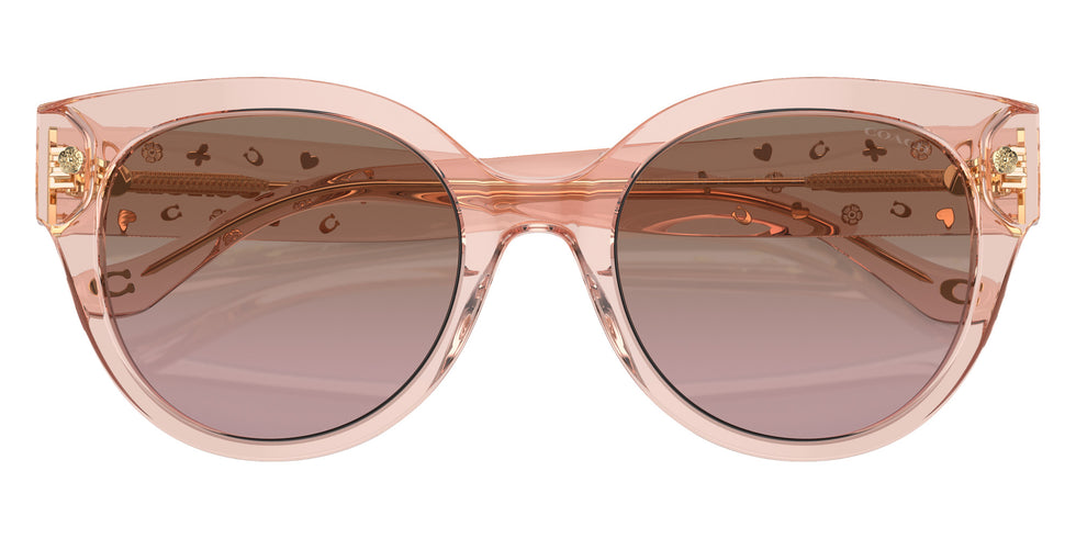 Coach HC8393U CR612 566814 53 - Transparent Dusty Rose / Brown Pink Gradient #id:hc8393u566814_s:104120