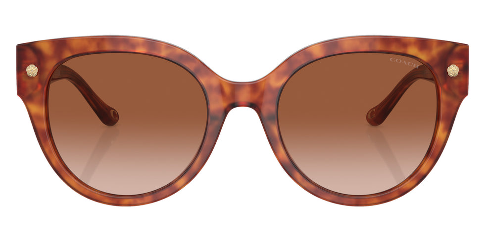 Coach HC8393U CR612 577413 53 - Caramel Tortoise / Brown Gradient #id:hc8393u577413_s:106100