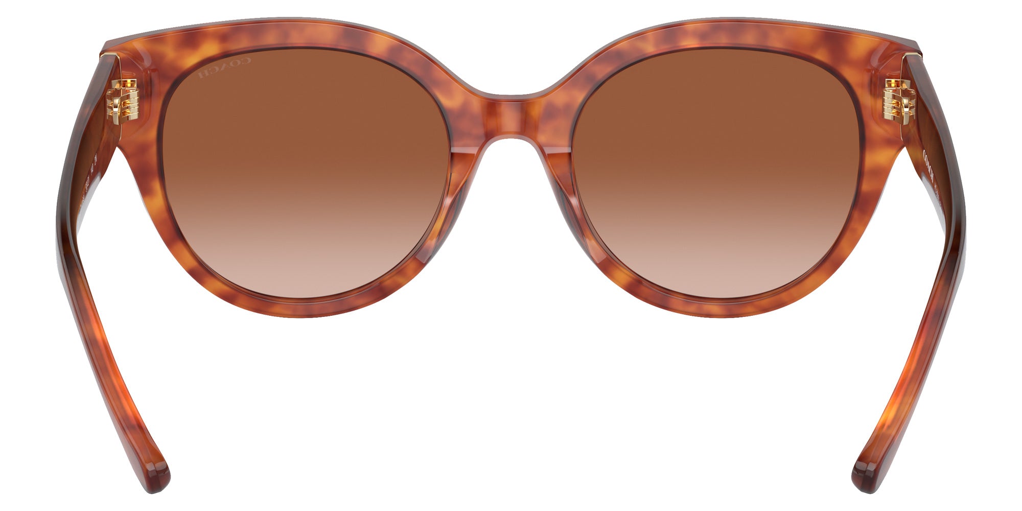 Coach HC8393U CR612 577413 53 - Caramel Tortoise / Brown Gradient #id:hc8393u577413_s:106115