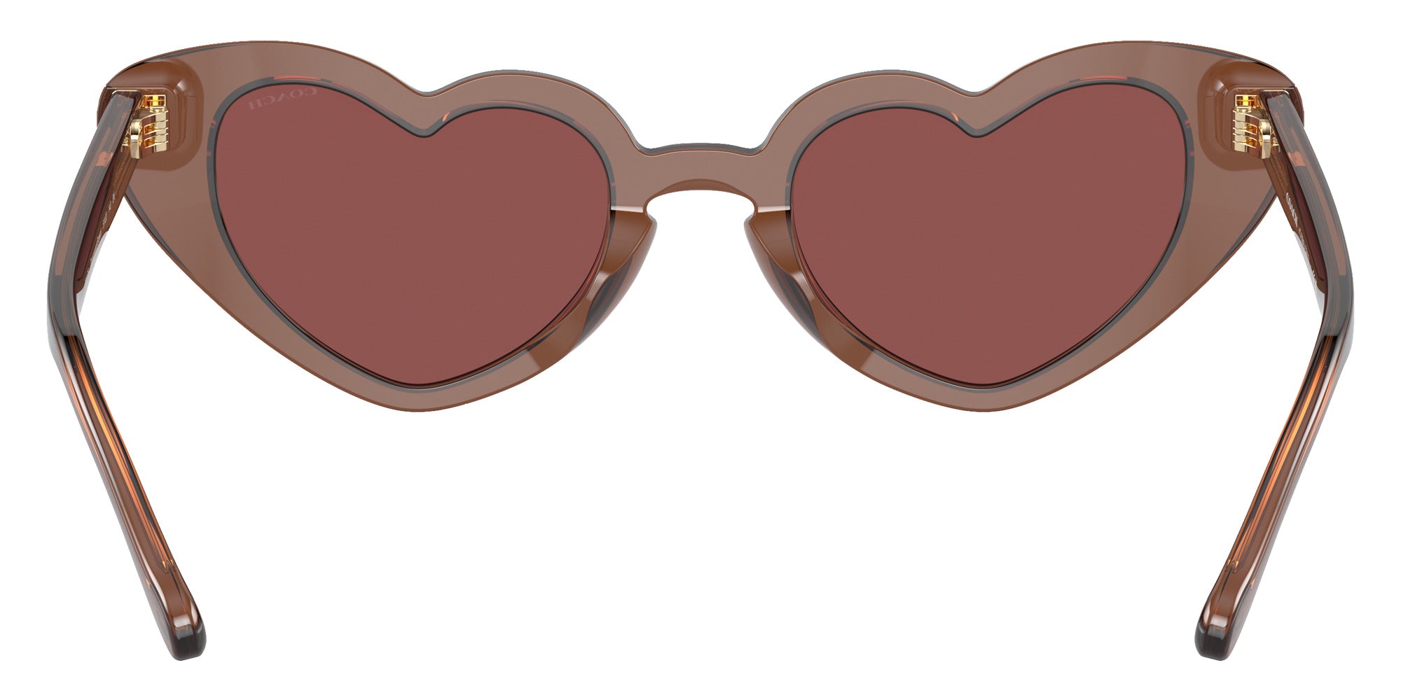 Coach HC8394U CR613 581175 51 - Transparent Brown / Wine #id:hc8394u581175_s:100115