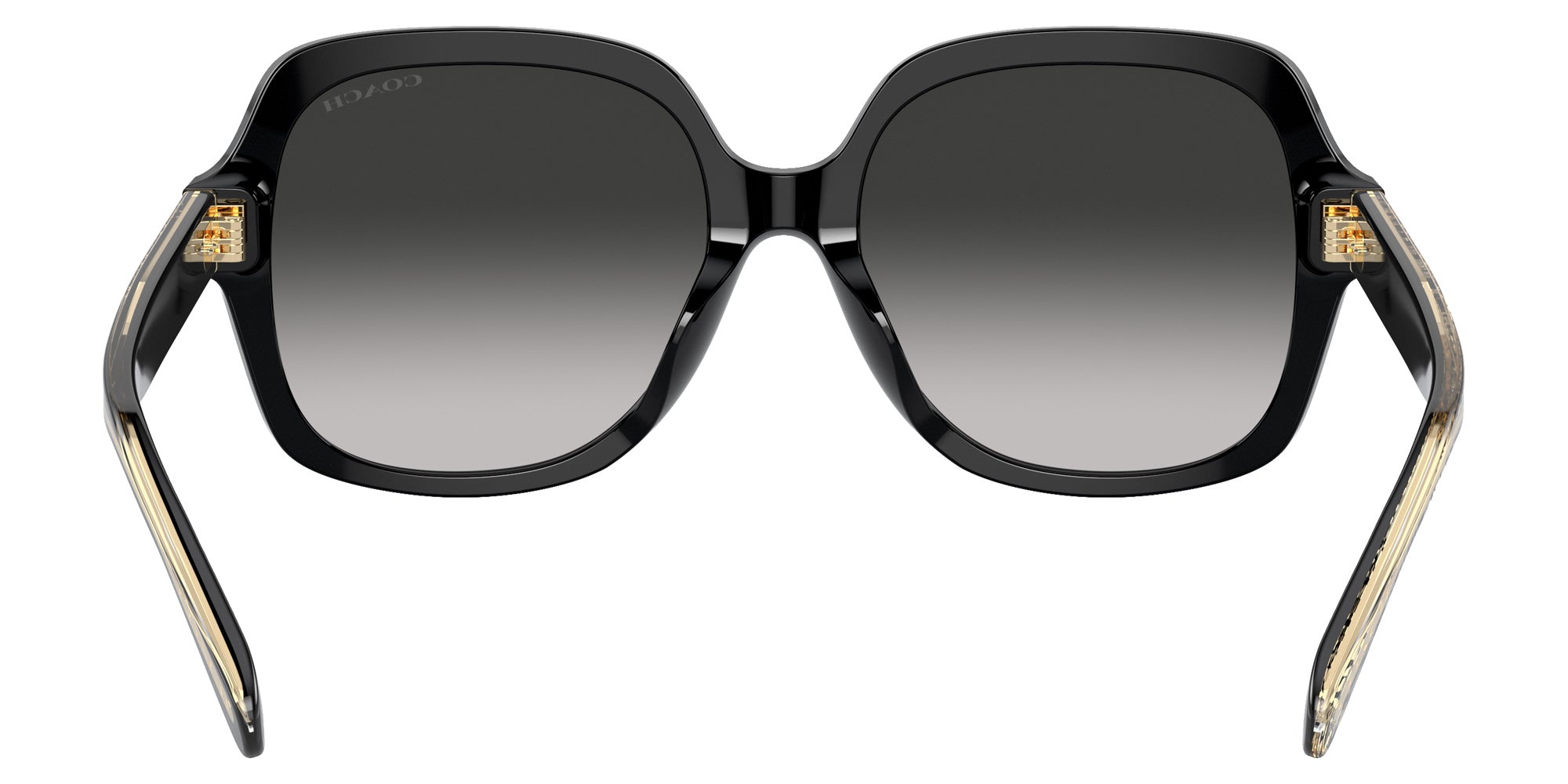 Coach HC8395F CR962 50023C 56 - Black / Gray Gradient #id:hc8395f50023c_s:100115