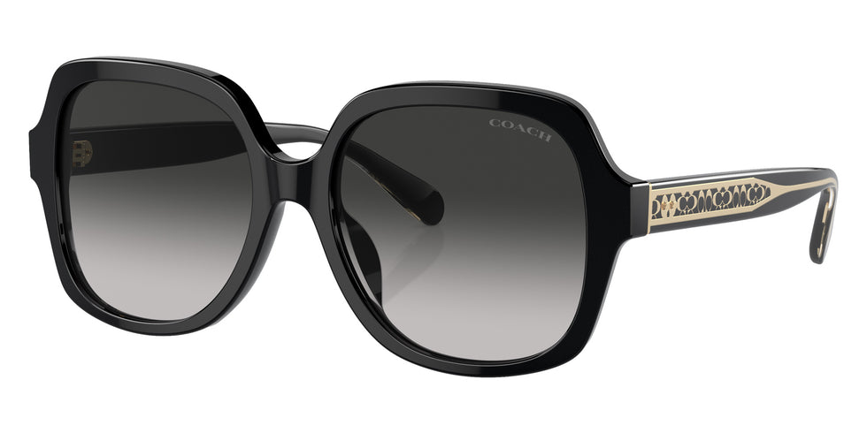Coach HC8395U CR614 50023C 54 - Black / Gray Gradient #id:hc8395u50023c_s:100105