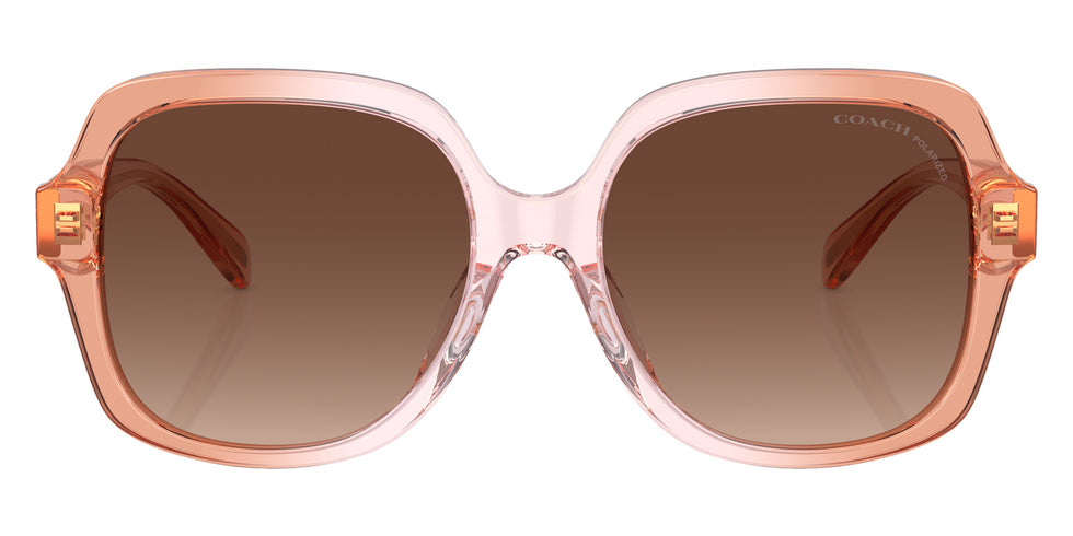 Coach HC8395U CR614 5812T5 54 - Saddle/Dusty Rose Gradient / Brown Gradient Polarized #id:hc8395u5812t5_s:104100