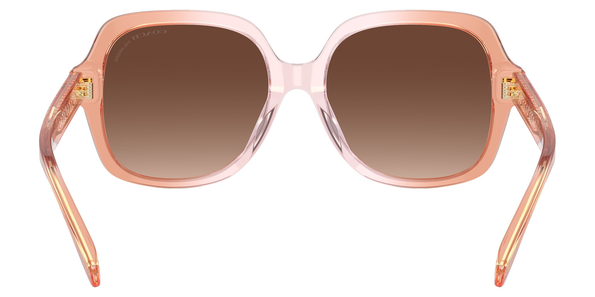 Coach HC8395U CR614 5812T5 54 - Saddle/Dusty Rose Gradient / Brown Gradient Polarized #id:hc8395u5812t5_s:104115