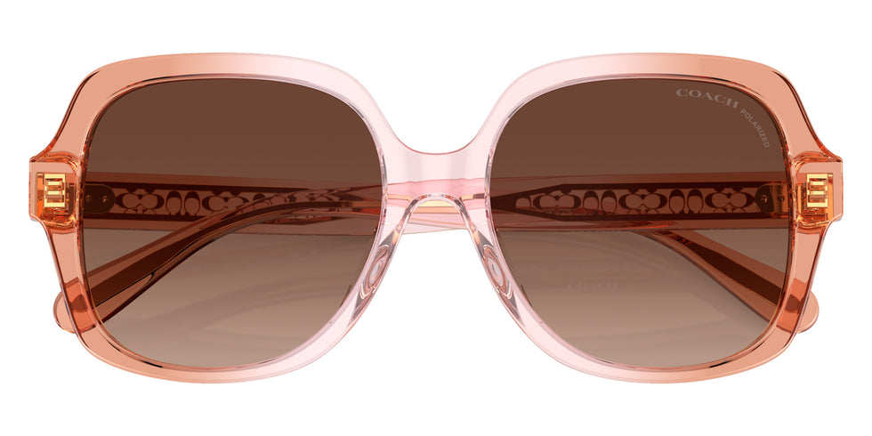 Coach HC8395U CR614 5812T5 54 - Saddle/Dusty Rose Gradient / Brown Gradient Polarized #id:hc8395u5812t5_s:104120