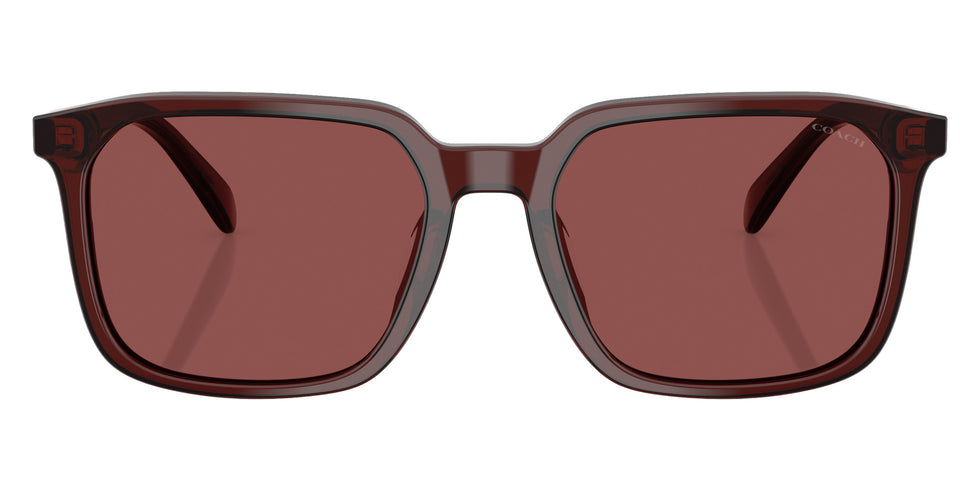 Coach HC8411U CW405 585075 55 - Transparent Mahogany / Wine Solid #id:hc8411u585075_s:106100