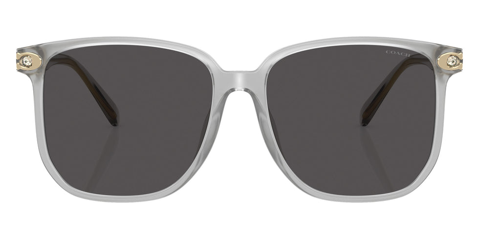 Coach HC8413BD CW419 561487 58 - Transparent Dove / Gray Solid #id:hc8413bd561487_s:102100