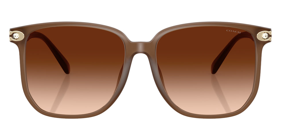 Coach HC8413BD CW419 580874 58 - Milky Brown / Brown Gradient #id:hc8413bd580874_s:104100