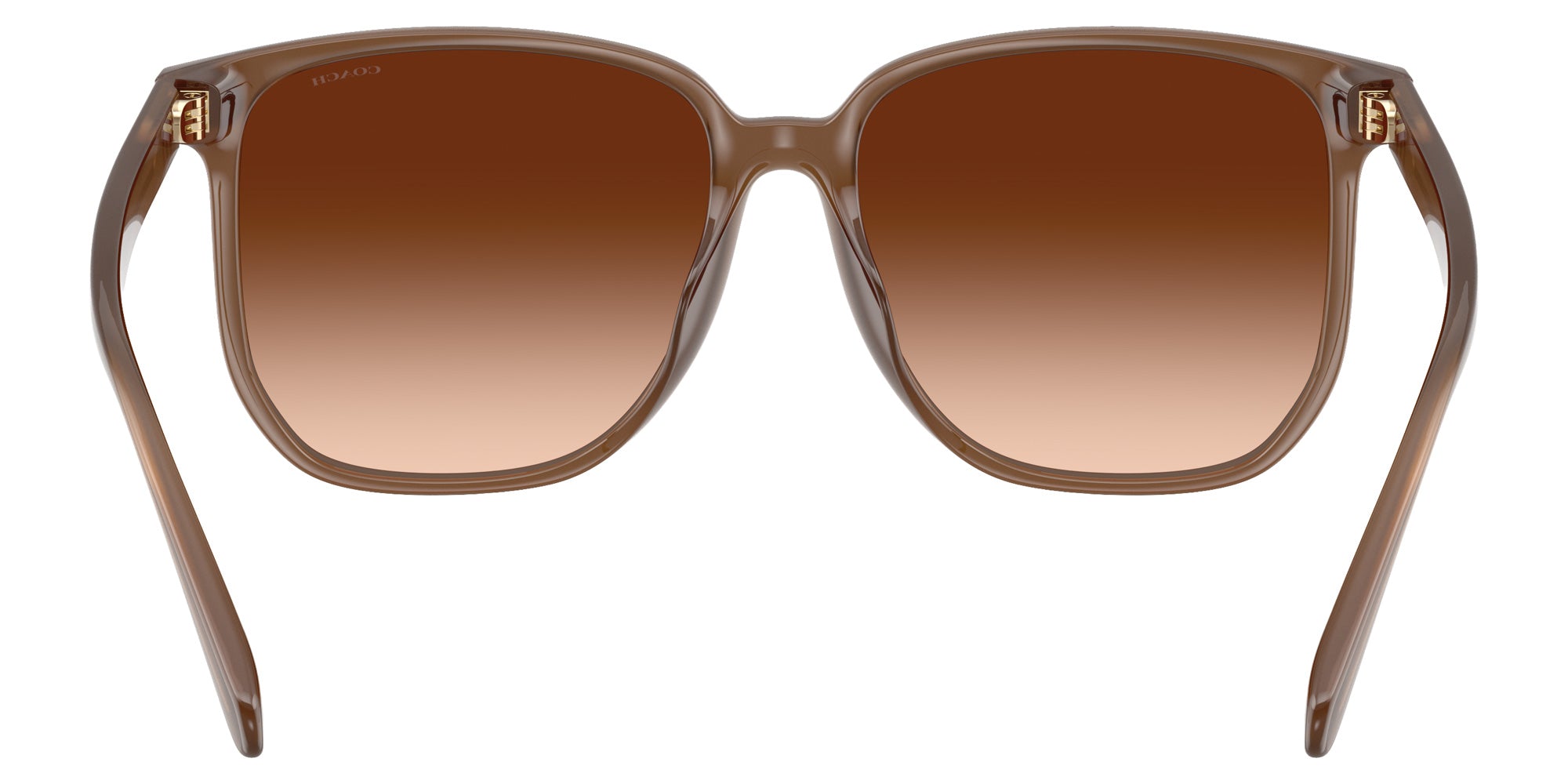 Coach HC8413BD CW419 580874 58 - Milky Brown / Brown Gradient #id:hc8413bd580874_s:104115