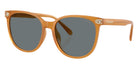 Coach HC8414BD CW428 585580 57 - Milky Amber / Gray Solid #id:hc8414bd585580_s:108105