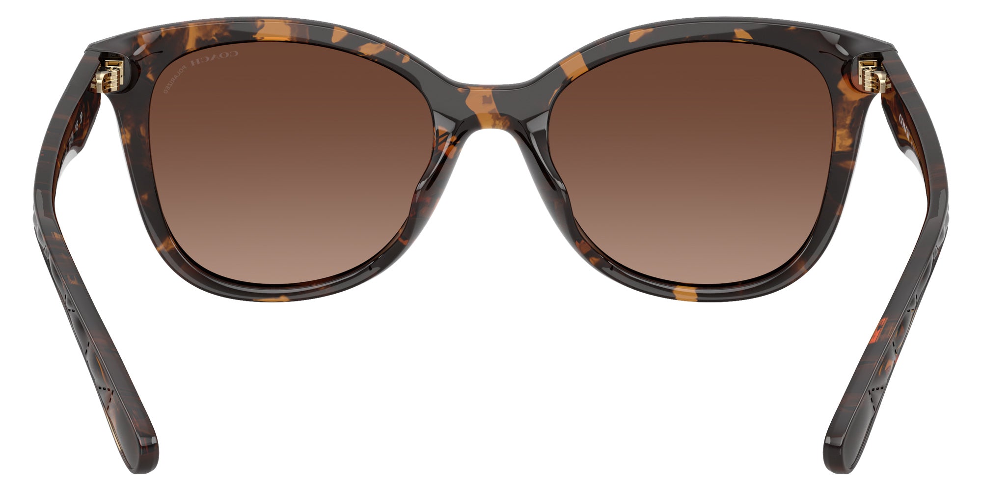 Coach HC8419U CAD25 5120T5 55 - Dark Tortoise / Brown Gradient Polarized #id:hc8419u5120t5_s:104115