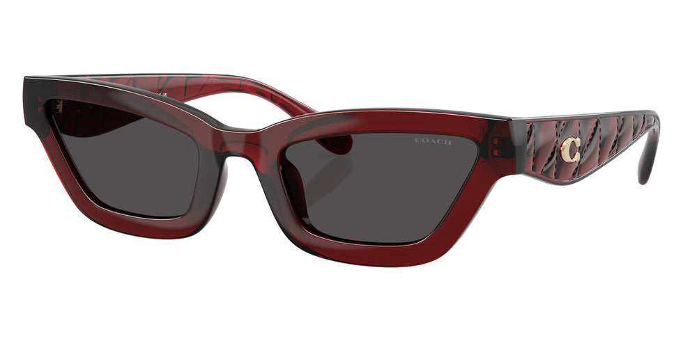 Coach HC8420U CAD28 587487 55 - Transparent Deep Red / Gray Solid #id:hc8420u587487_s:102105