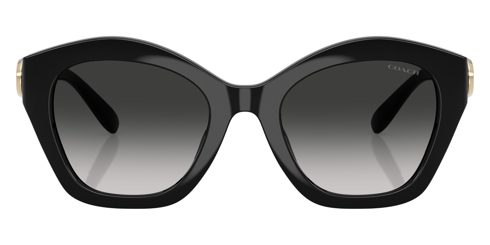 Coach HC8421U CAD31 50023C 54 - Black / Gray Gradient #id:hc8421u50023c_s:100100