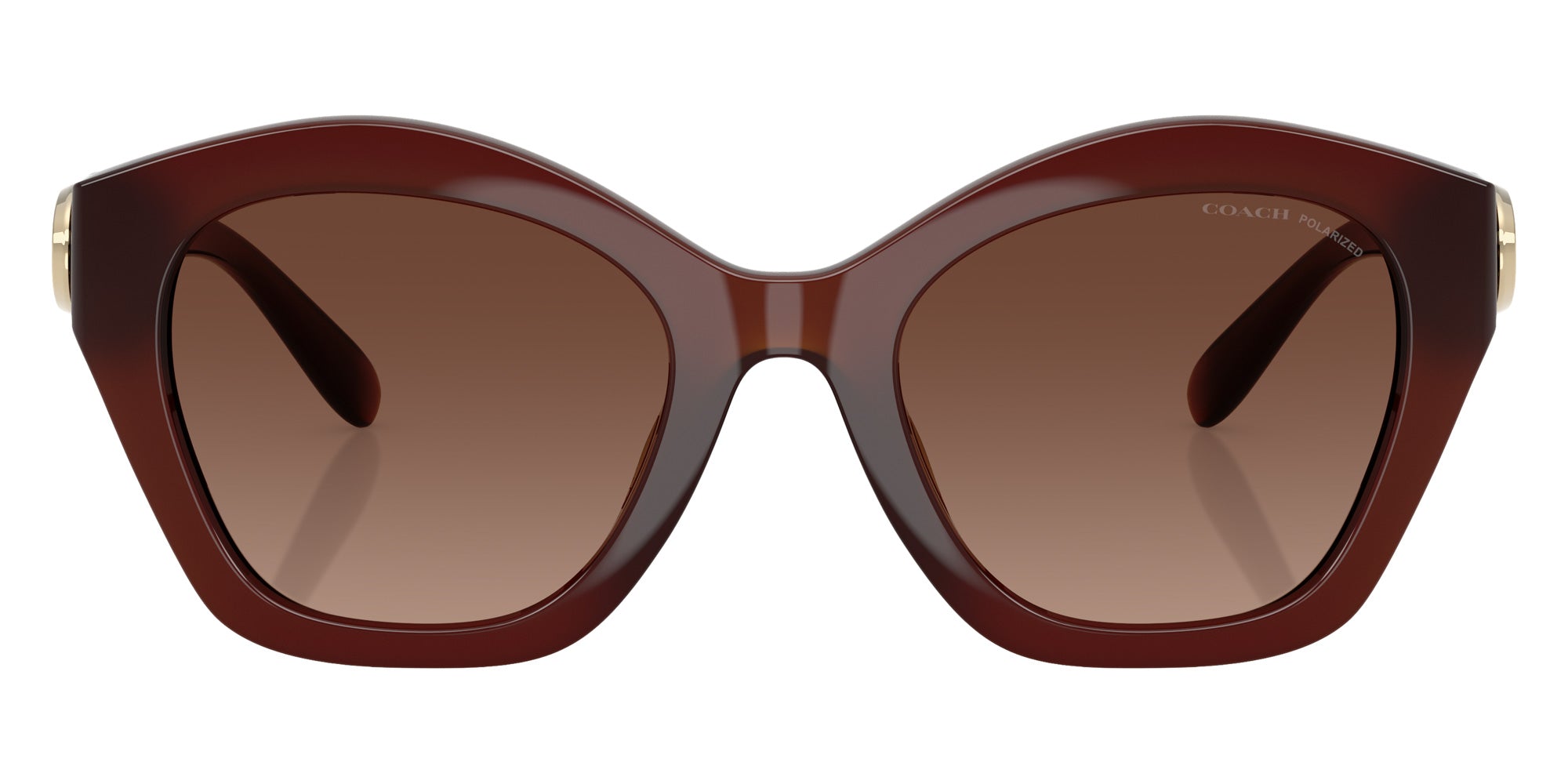 Coach HC8421U CAD31 5841T5 54 - Milky Hazelnut / Brown Gradient Polarized #id:hc8421u5841t5_s:106100