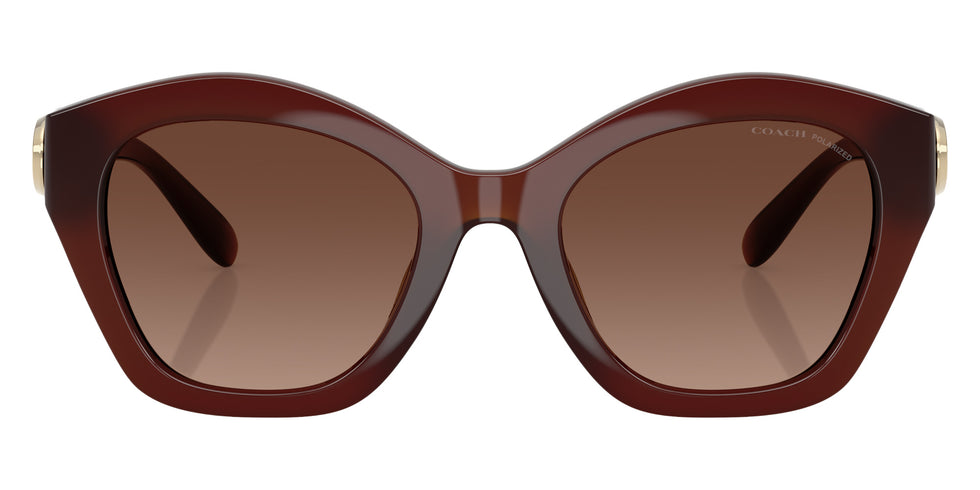 Coach HC8421U CAD31 5841T5 54 - Milky Hazelnut / Brown Gradient Polarized #id:hc8421u5841t5_s:106100