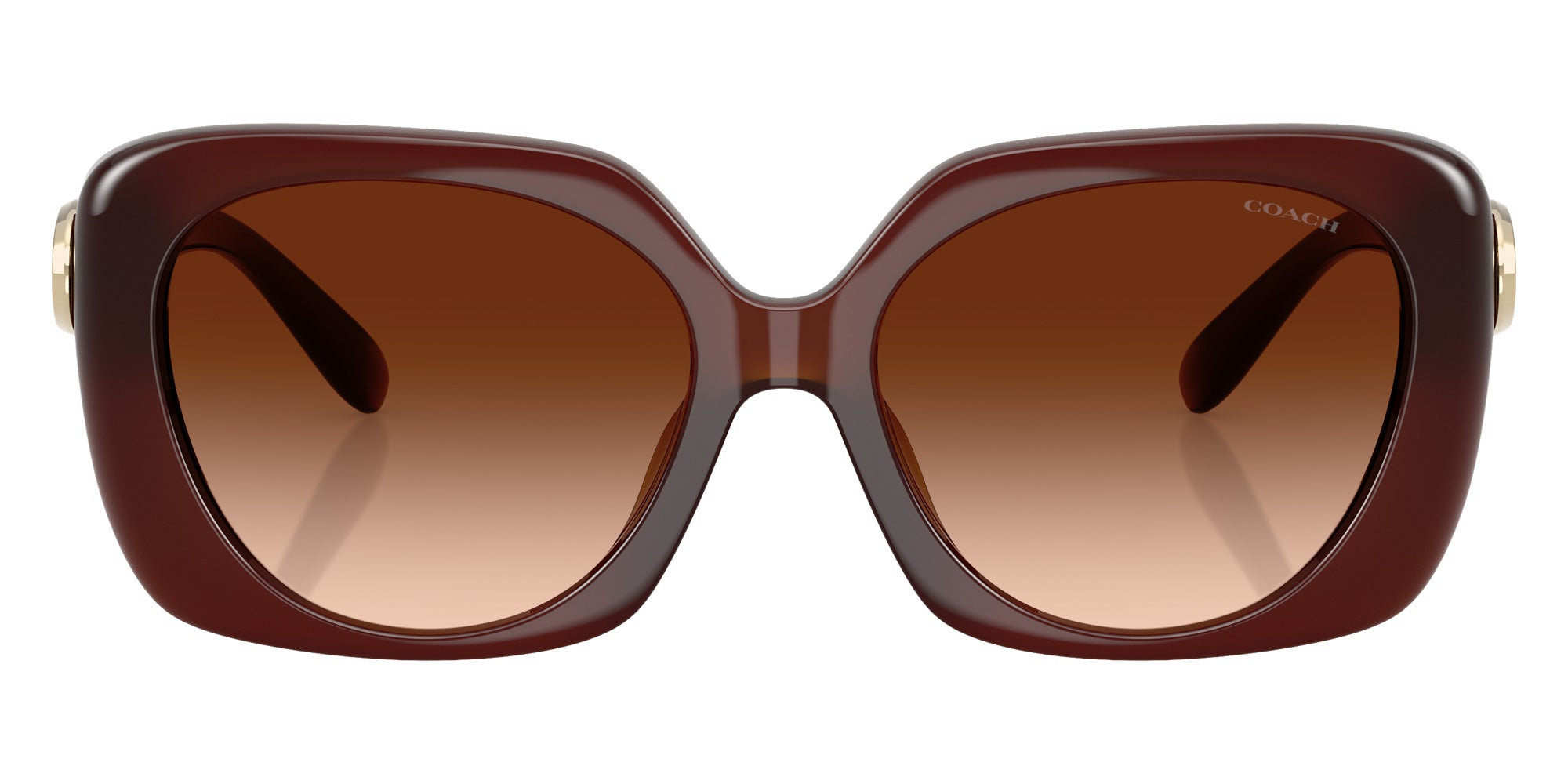 Coach HC8422U CAD33 584174 55 - Milky Hazelnut / Brown Gradient #id:hc8422u584174_s:104100