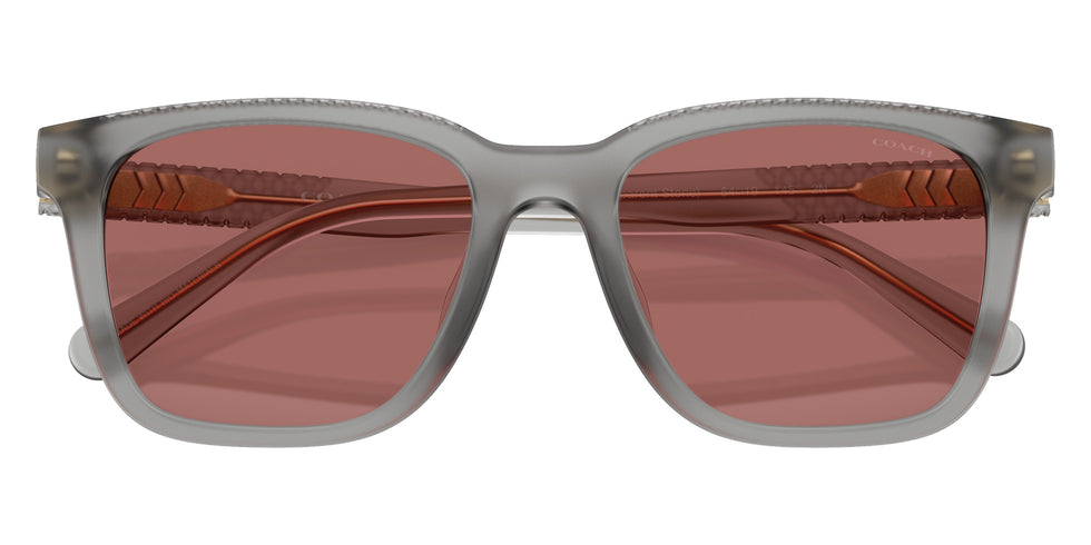 Coach HC8426U CAD81 58750H 54 - Matte Transparent Stone / Wine Solid #id:hc8426u58750h_s:106120