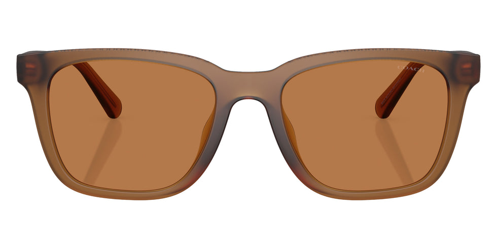 Coach HC8426U CAD81 587673 54 - Matte Transparent Amber / Amber Solid #id:hc8426u587673_s:108100