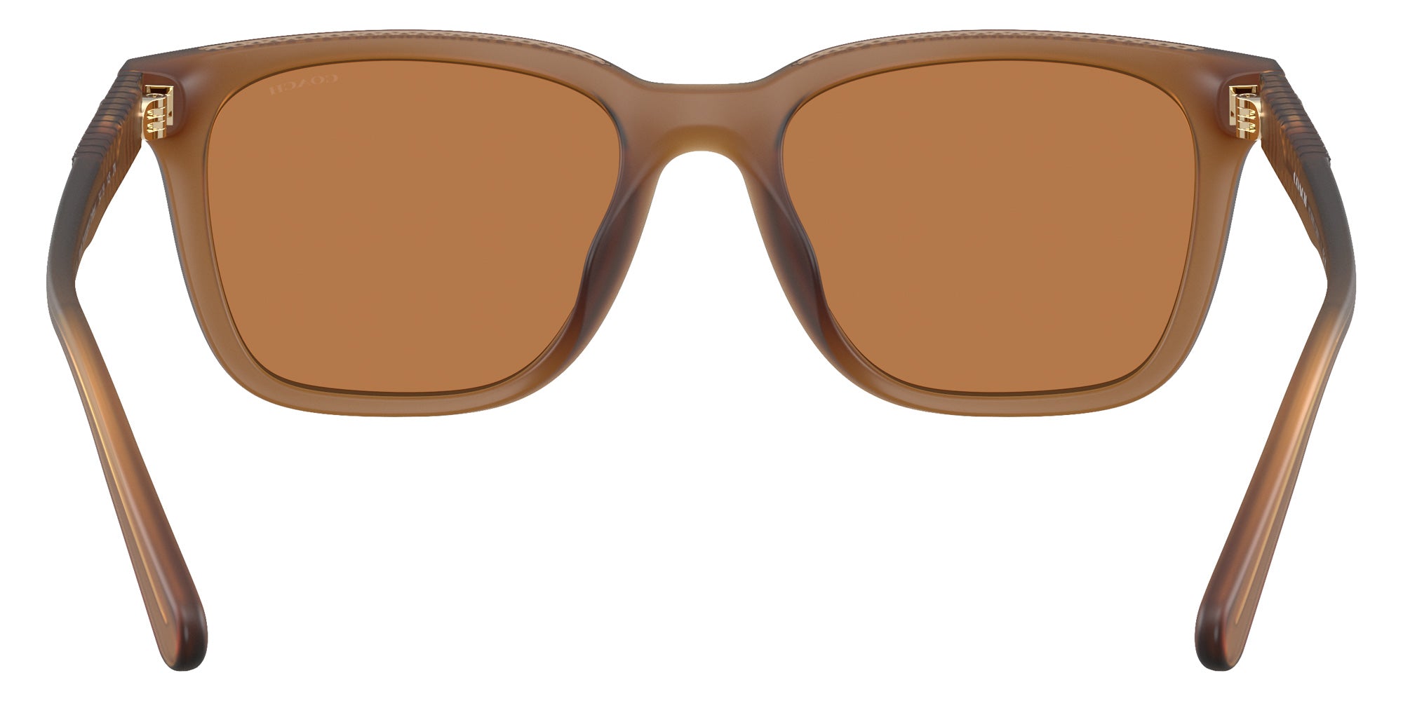 Coach HC8426U CAD81 587673 54 - Matte Transparent Amber / Amber Solid #id:hc8426u587673_s:108115