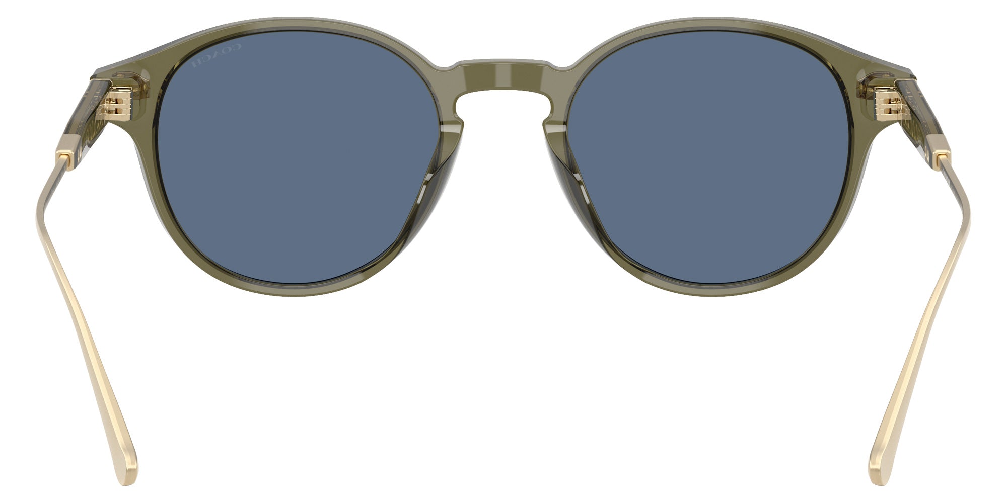Coach HC8428U CAD83 584880 50 - Transparent Olive / Blue Solid #id:hc8428u584880_s:102115