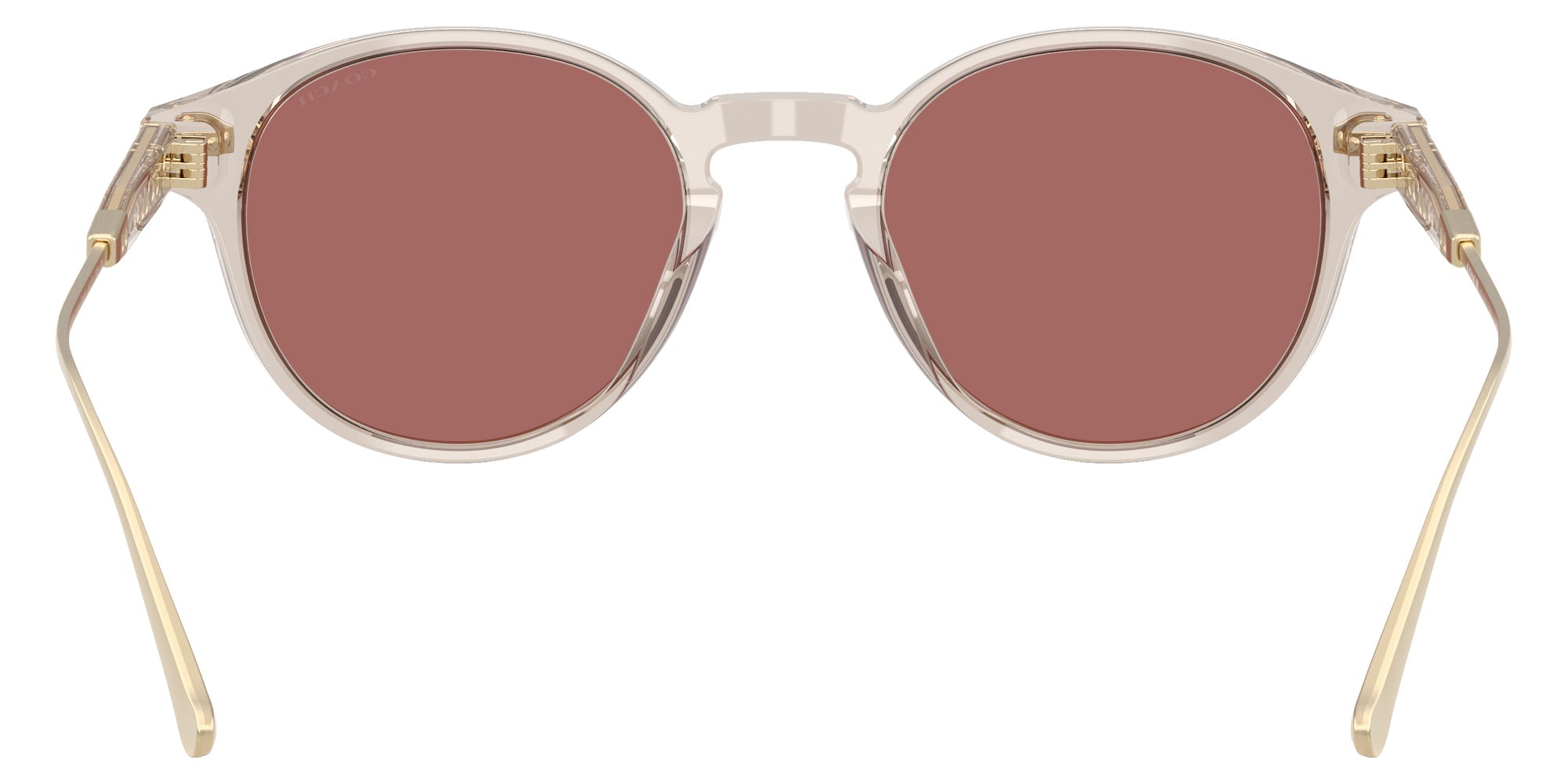 Coach HC8428U CAD83 58790H 50 - Transparent Sand / Wine Solid #id:hc8428u58790h_s:106115