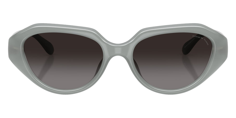 Coach HC8433U CBY77 5905T3 52 - Milky Eucalyptus / Gray Polarized #id:hc8433u5905t3_s:108100
