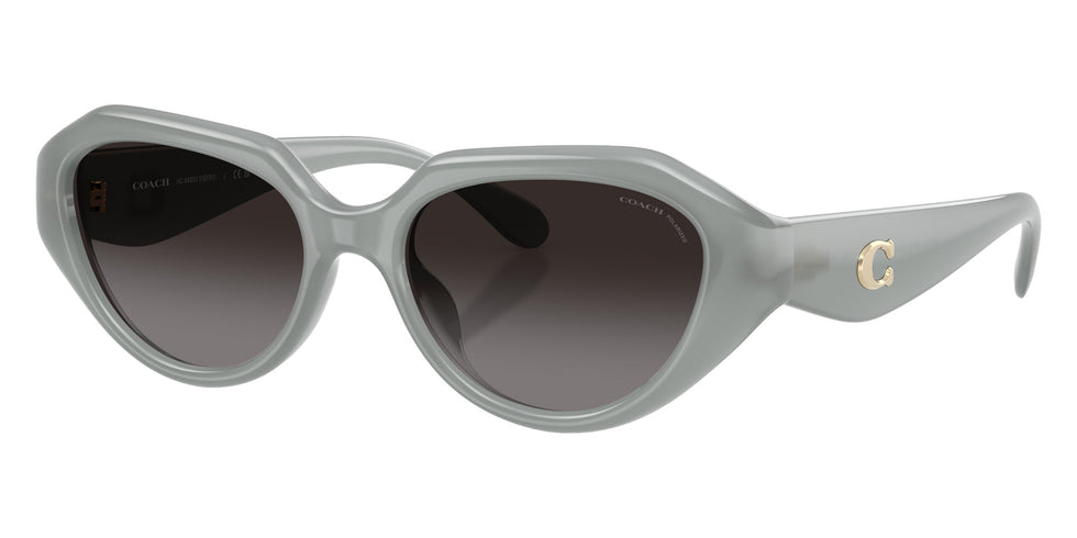 Coach HC8433U CBY77 5905T3 52 - Milky Eucalyptus / Gray Polarized #id:hc8433u5905t3_s:108105