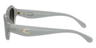 Coach HC8433U CBY77 5905T3 52 - Milky Eucalyptus / Gray Polarized #id:hc8433u5905t3_s:108110