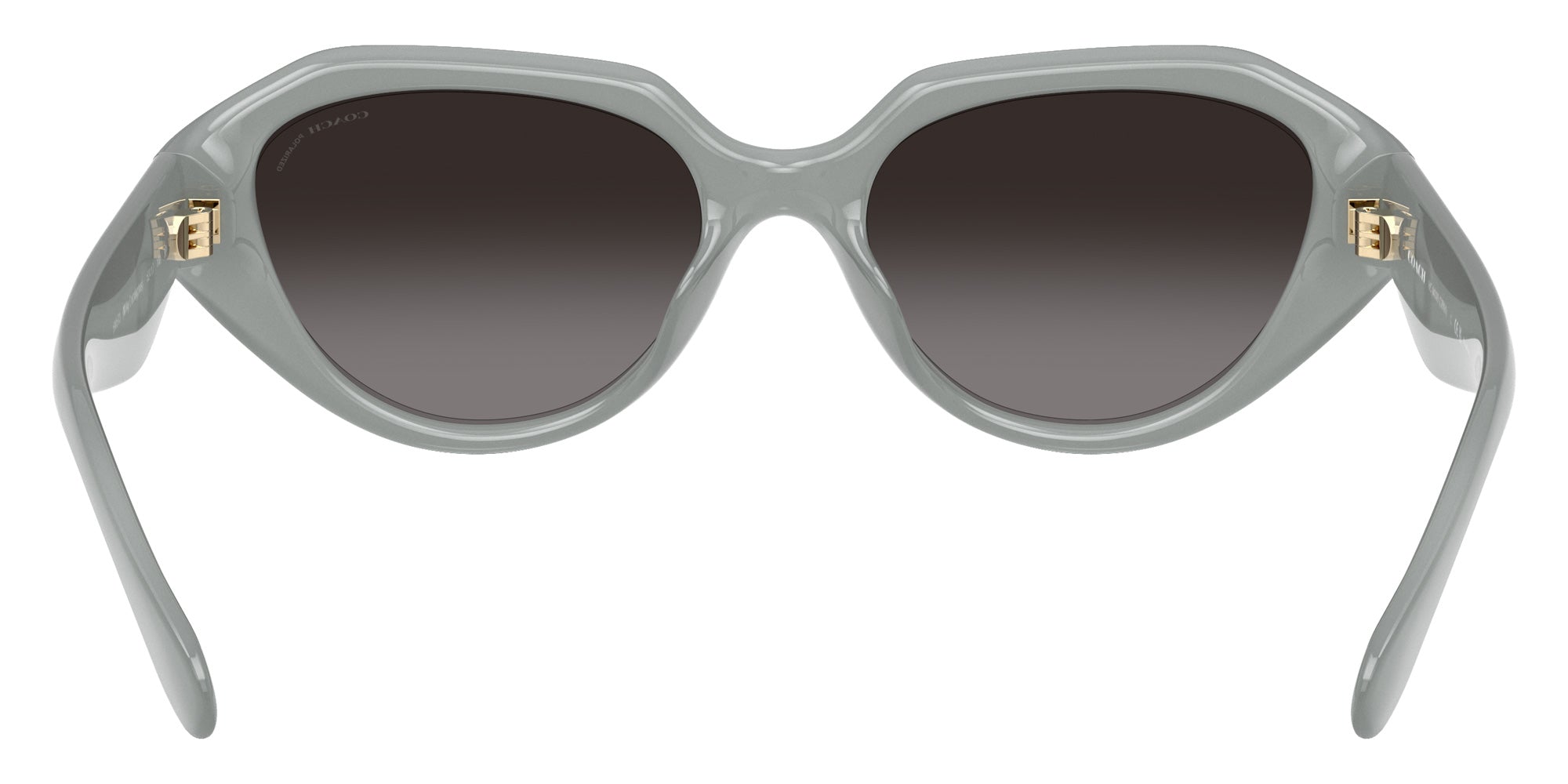Coach HC8433U CBY77 5905T3 52 - Milky Eucalyptus / Gray Polarized #id:hc8433u5905t3_s:108115