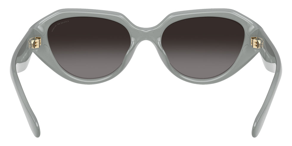 Coach HC8433U CBY77 5905T3 52 - Milky Eucalyptus / Gray Polarized #id:hc8433u5905t3_s:108115