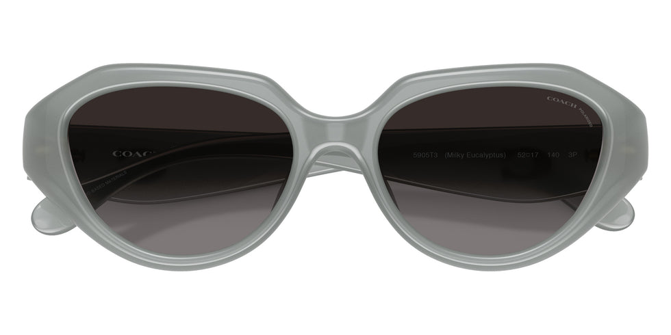 Coach HC8433U CBY77 5905T3 52 - Milky Eucalyptus / Gray Polarized #id:hc8433u5905t3_s:108120