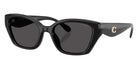 Coach HC8434U CBY91 500287 53 - Black / Gray Solid #id:hc8434u500287_s:100105