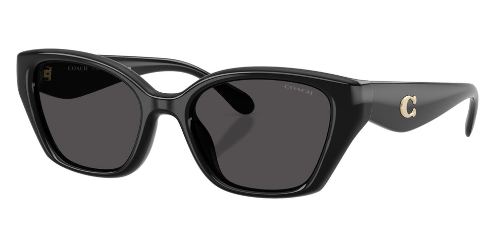 Coach HC8434U CBY91 500287 53 - Black / Gray Solid #id:hc8434u500287_s:100105