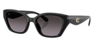 Coach HC8434U CBY91 5002F4 53 - Black / Gray Gradient Polarized #id:hc8434u5002f4_s:102105