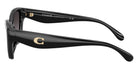 Coach HC8434U CBY91 5002F4 53 - Black / Gray Gradient Polarized #id:hc8434u5002f4_s:102110