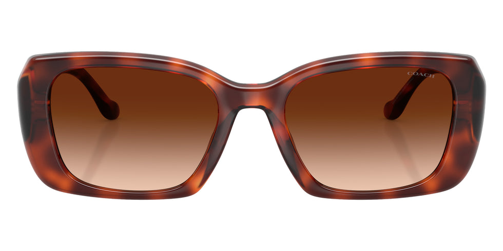 Coach HC8435U CBY82 577474 54 - Caramel Tortoise / Brown Gradient #id:hc8435u577474_s:104100